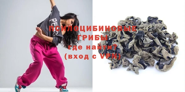 индика Верхний Тагил