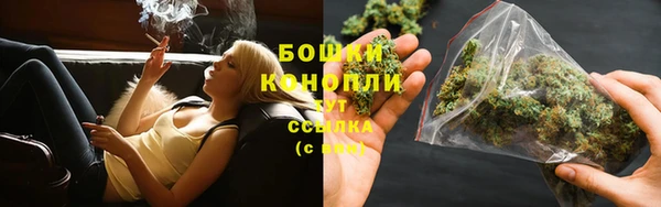 трава Верея