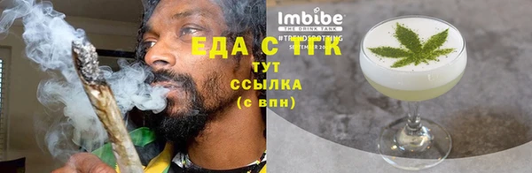 индика Верхний Тагил