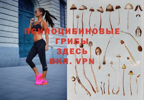 трава Верея